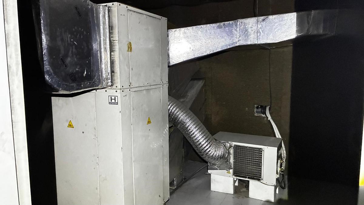 WhatsApp Image 2026-01-22 at 11.17.11