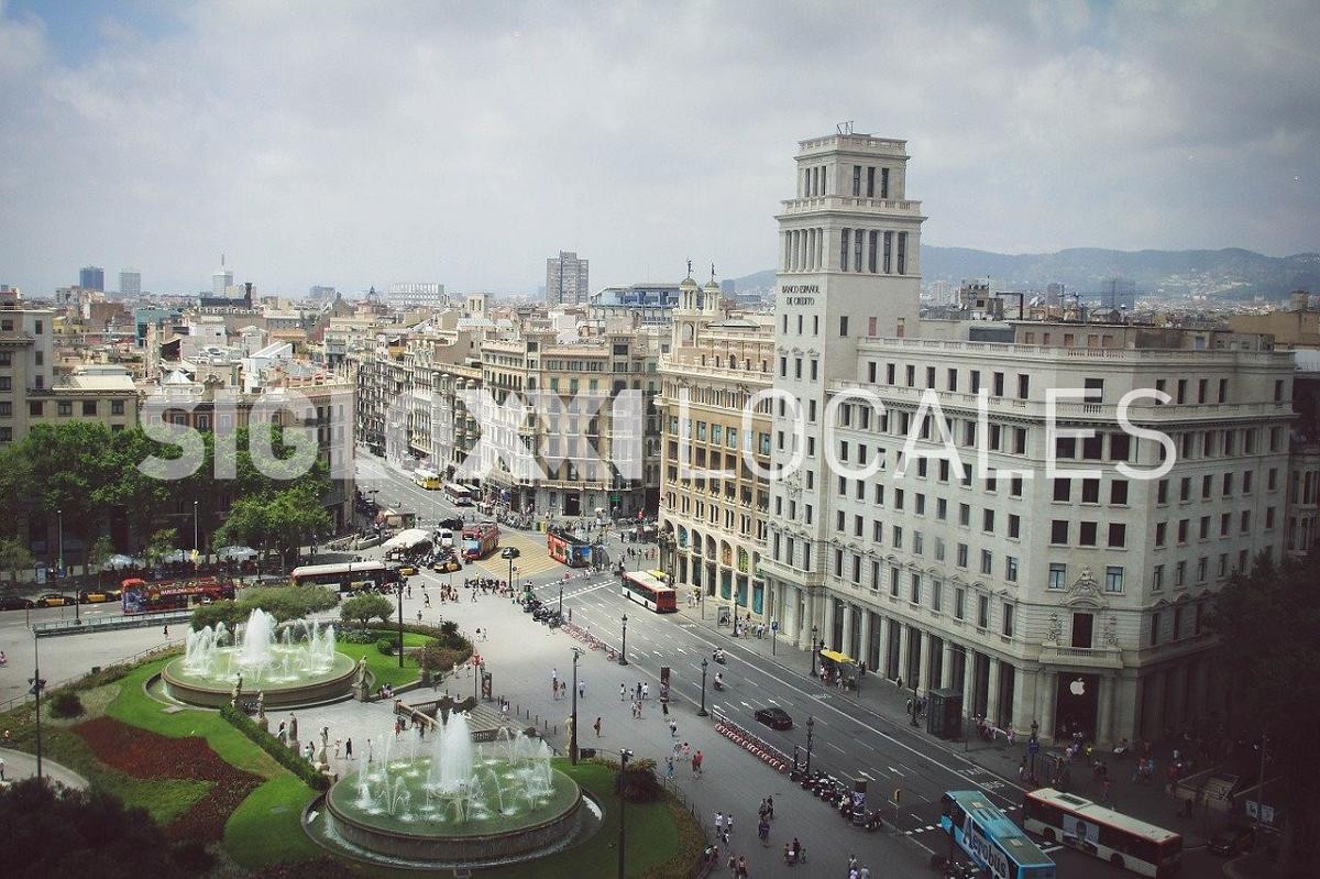 Genéria locales