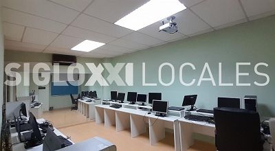 Local