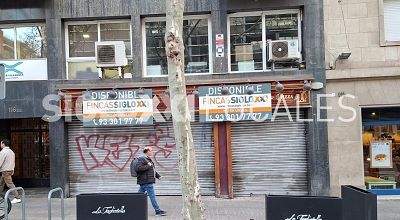 WhatsApp Image 2026-01-27 at 08.45.03 (1)