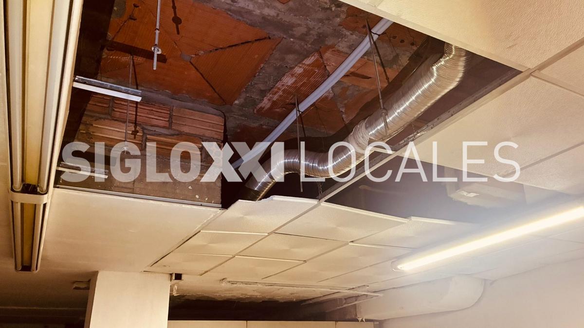 WhatsApp Image 2026-03-04 at 14.21.32