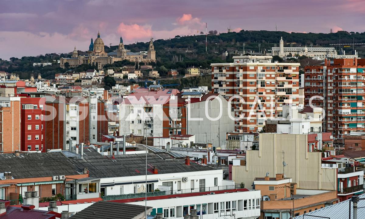 Vistas